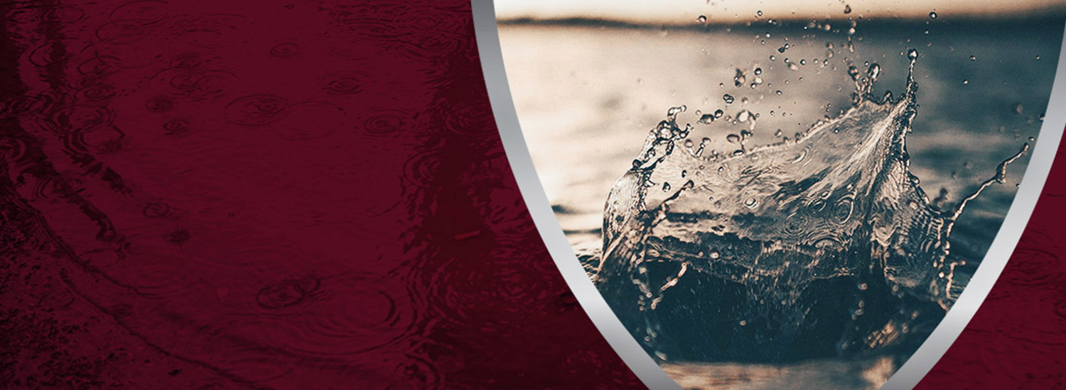 Delaware Coastal Flood Insurance